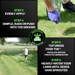 Benih taman pertumbuhan cepat benih rumput Premium 1KG paket abadi Ryegrass/merayap merah <span class=keywords><strong>Fescue</strong></span> perawatan kepala untuk teduh - Product Image 5