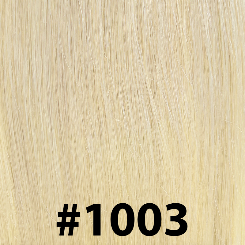 #1003