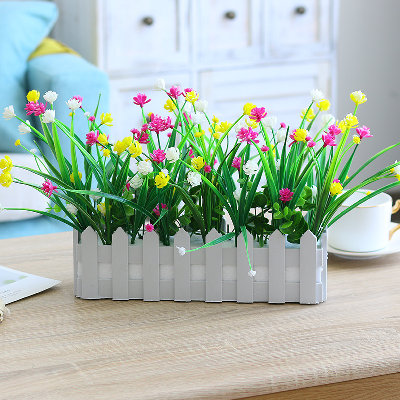 30 Gypsophile, Fleur de Milan, Jaune, Blanc, Rouge