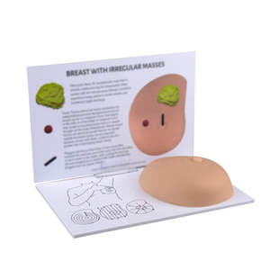 Simulator Female Inspection and <strong>Palpation</strong> Breast Self Examination Model Class Demonstration - Product Image 6