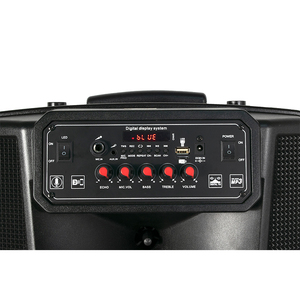 Altavoz inalámbrico portátil multifunción, sistema de sonido de plástico con control remoto, alta calidad, bajo precio, 12 pulgadas, nuevo diseño, 2021 - Product Image 2