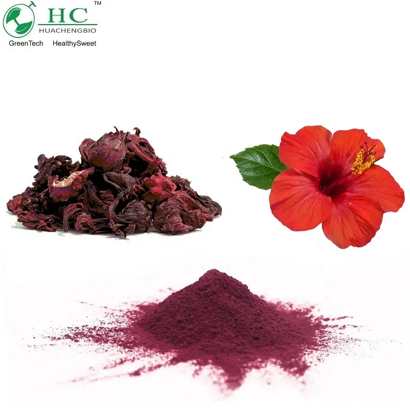 Extracto de flor de hibisco natural y de alta calidad, polvo de jugo de hibisco 100%, polvo de hibisco instantáneo Soluble en agua