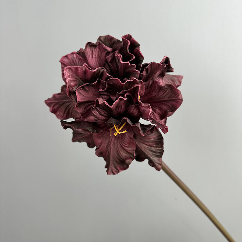 Violet foncé