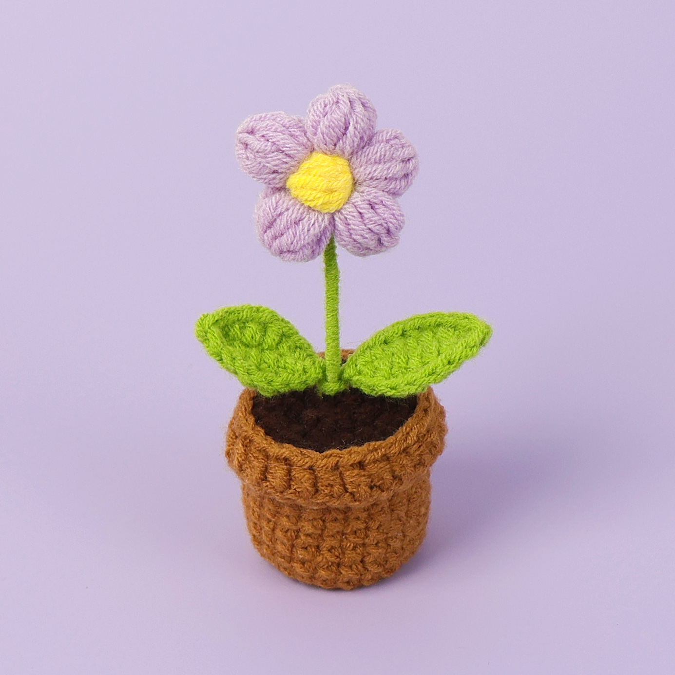 Plante en pot à fleurs violettes