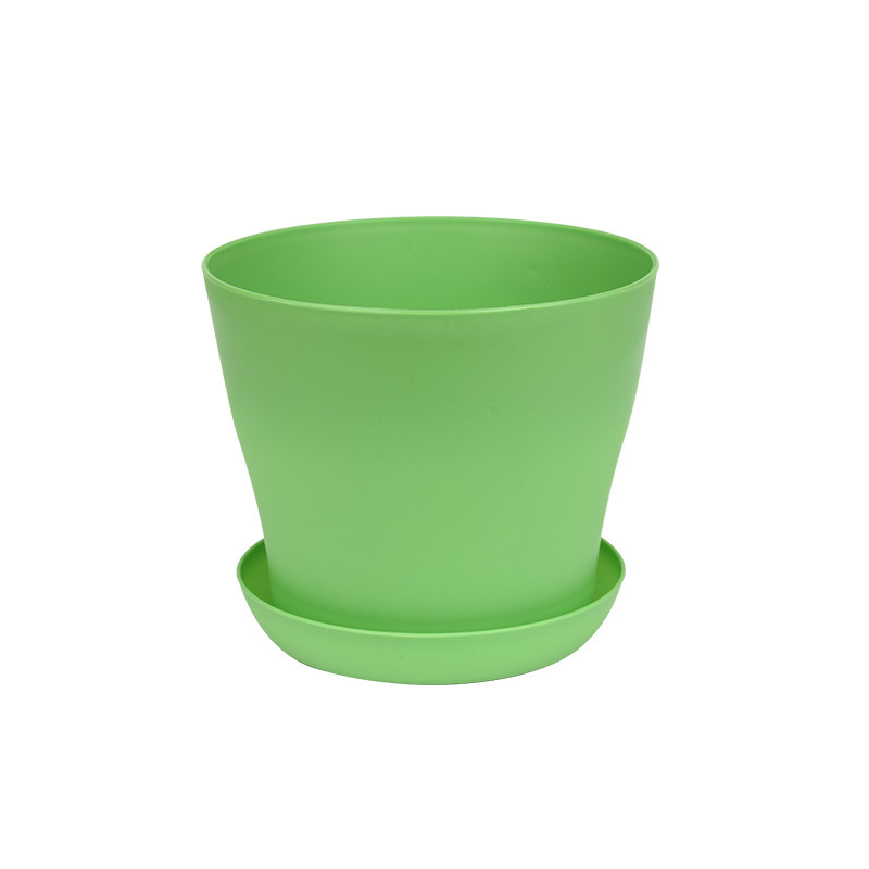 Verde + palet