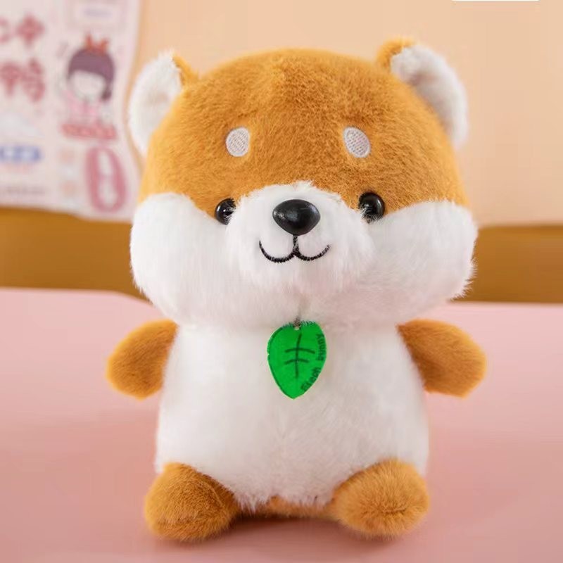 perro corgi