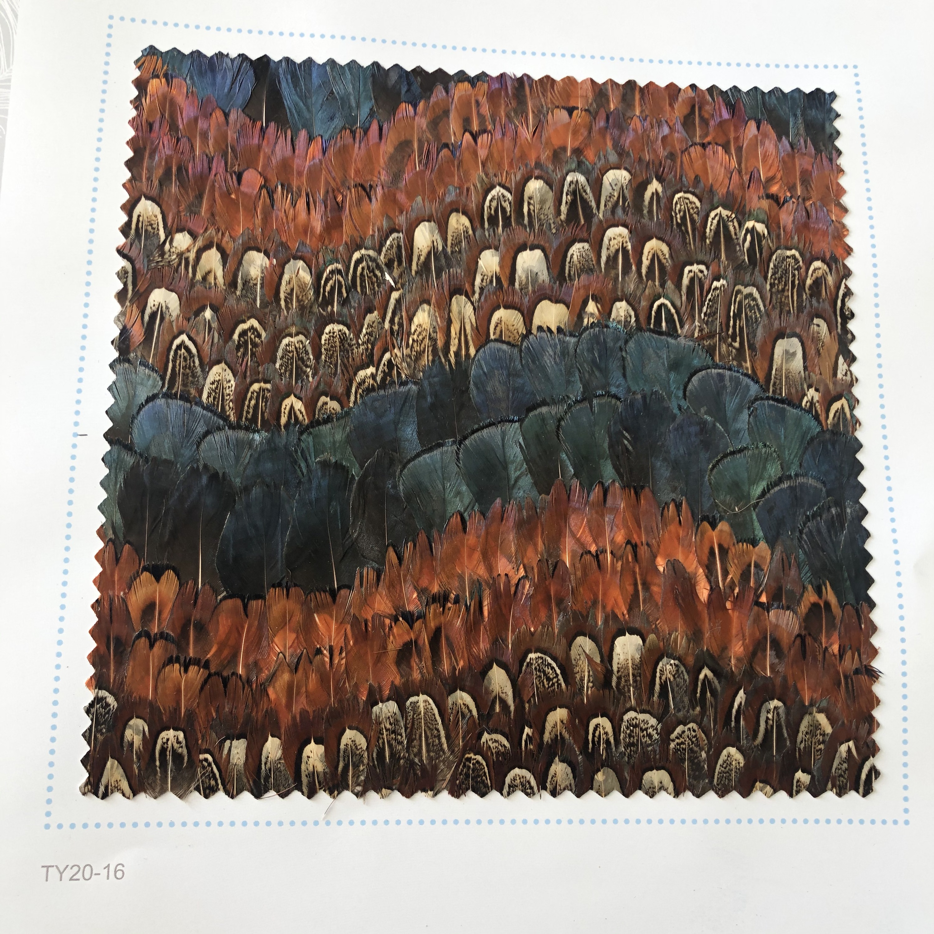 FW217