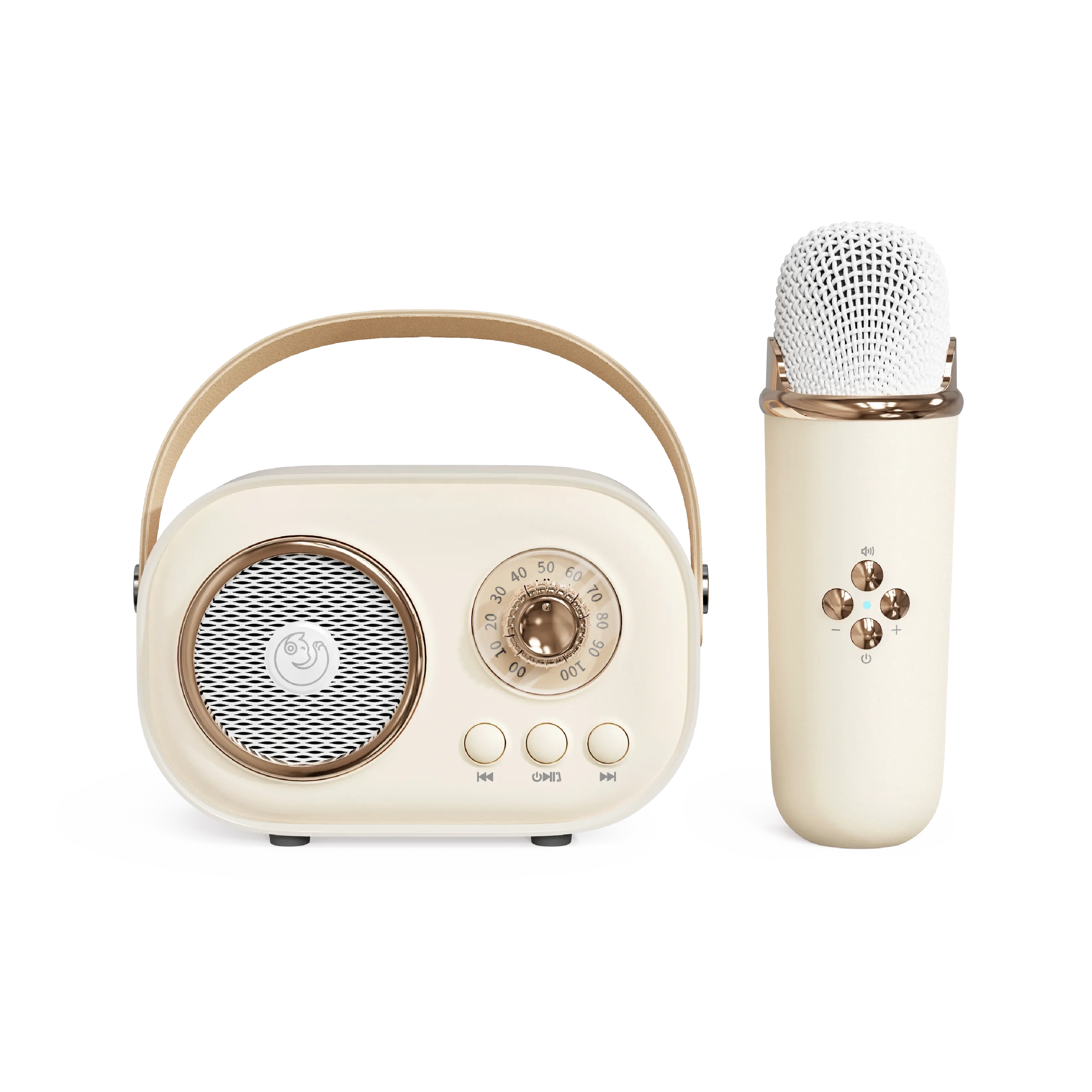 2023 Mais Popular Portátil Sem Fio Recarregável Poderoso Cartão TF Do Vintage Speaker Microfone Karaoke Speaker Para Venda Quente