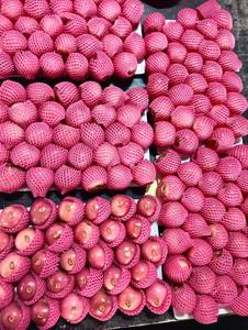 Fuji <strong>Apple</strong> Red <strong>Apple</strong> Fresh <strong>Apple</strong> Best Price from China - Product Image 5