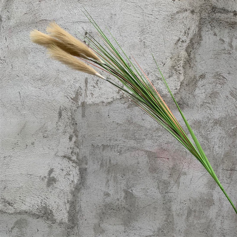 15m 3 head reeds autumn yellow