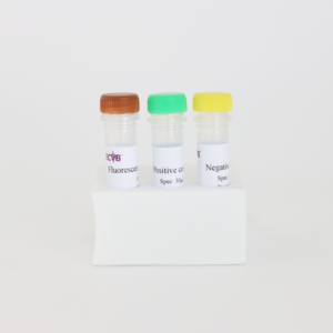 OIE-Validated Equine Infectious <strong>Anemia</strong> Virus (EIAV) Real-Time Fluorescent PCR Detection Kit | 50 <strong>Tests</strong>/Kit - Product Image 3