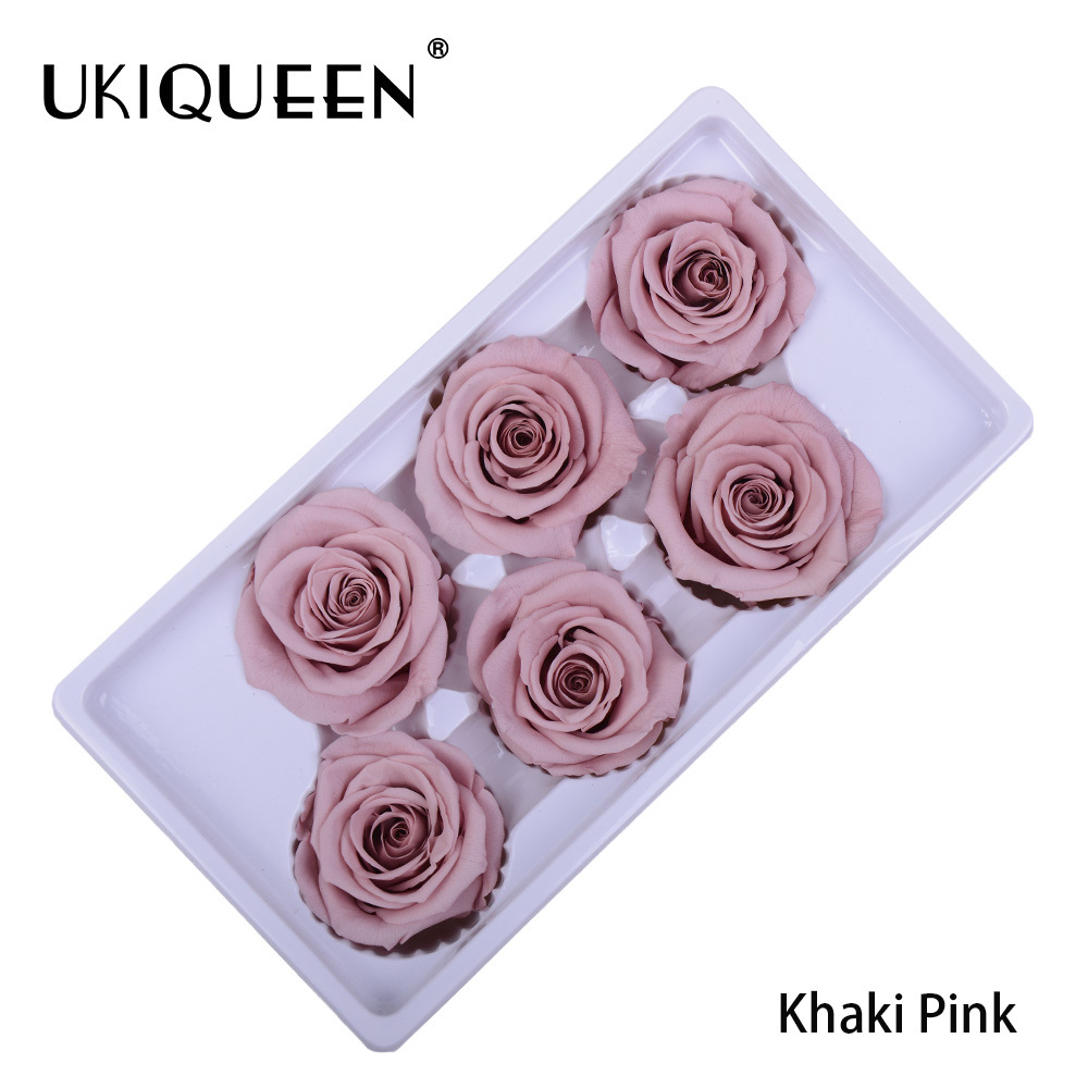 08 kaki rose