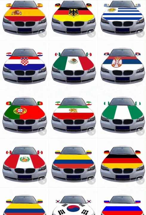 Custom Printed Design logo Samoa Flag Car Hood Cover Flag