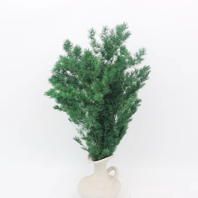 Verde scuro
