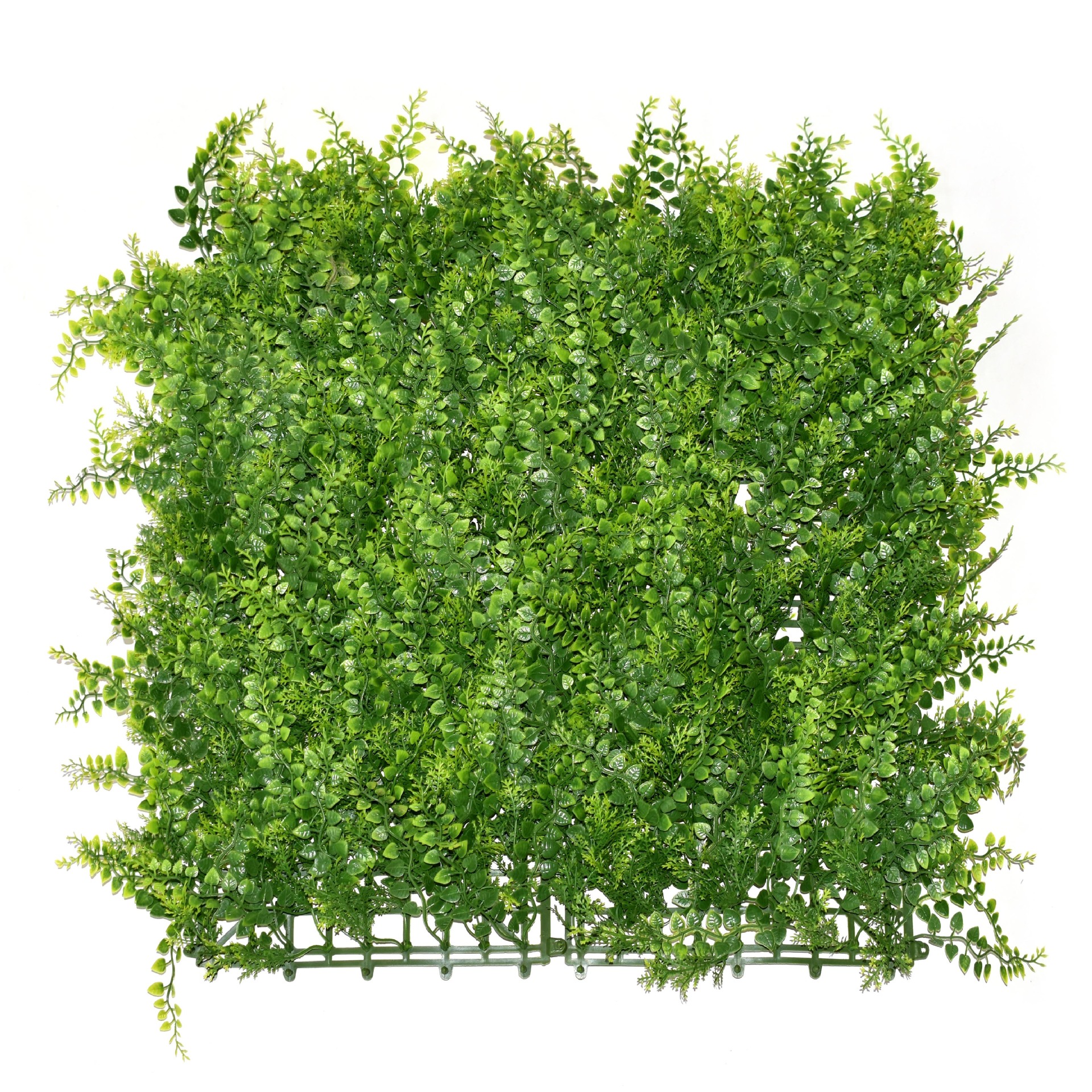 Assortiment riche et noble