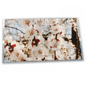 LTM10C272S Online-One-Stop-Shopping 10,4-Zoll-LCD-Display mit Industries teuerung 800*600 auf Lager LCD-Bildschirm modul - Product Image 1