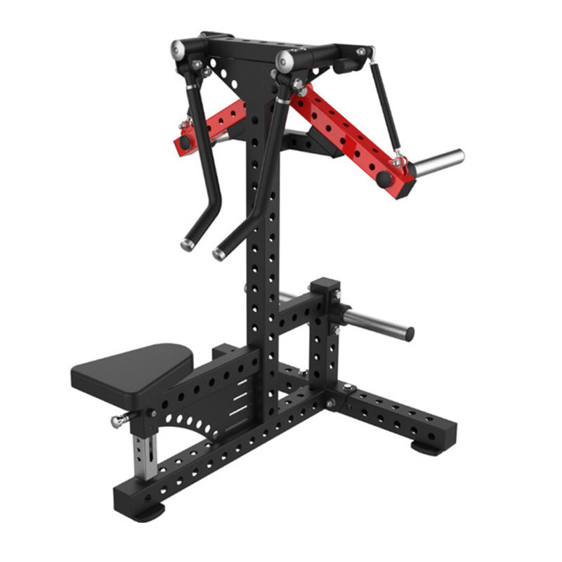 Elevaciones Laterales Sentado y de Pie