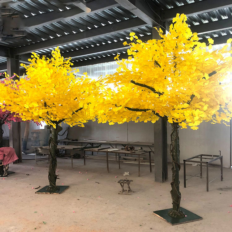 yellow flower leaf Ginkgo biloba plant tree