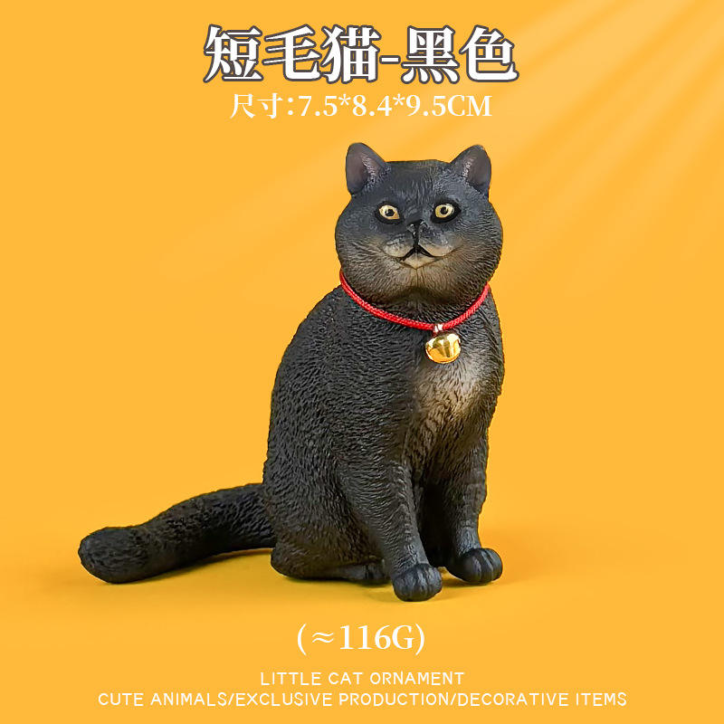 Gato de pelo corto (negro)