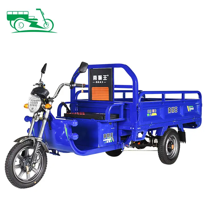 الصين 50 km/h بطارية كبيرة Trike 800w 1000w Pedicab مفتوحة 3 عجلة الدراجة الكبار البضائع دراجة ثلاثية العجلات كهربائية