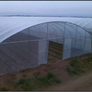 Estufa de tomate agrícola 8x30m moldura estufas de túnel de filme plástico de único período