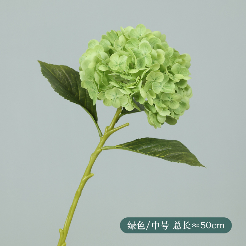 Vert moyen