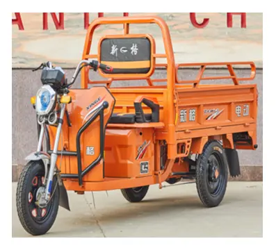 Trike elettrico del carico della sospensione completa verde di vendita diretta della fabbrica di nuovo stile della cina