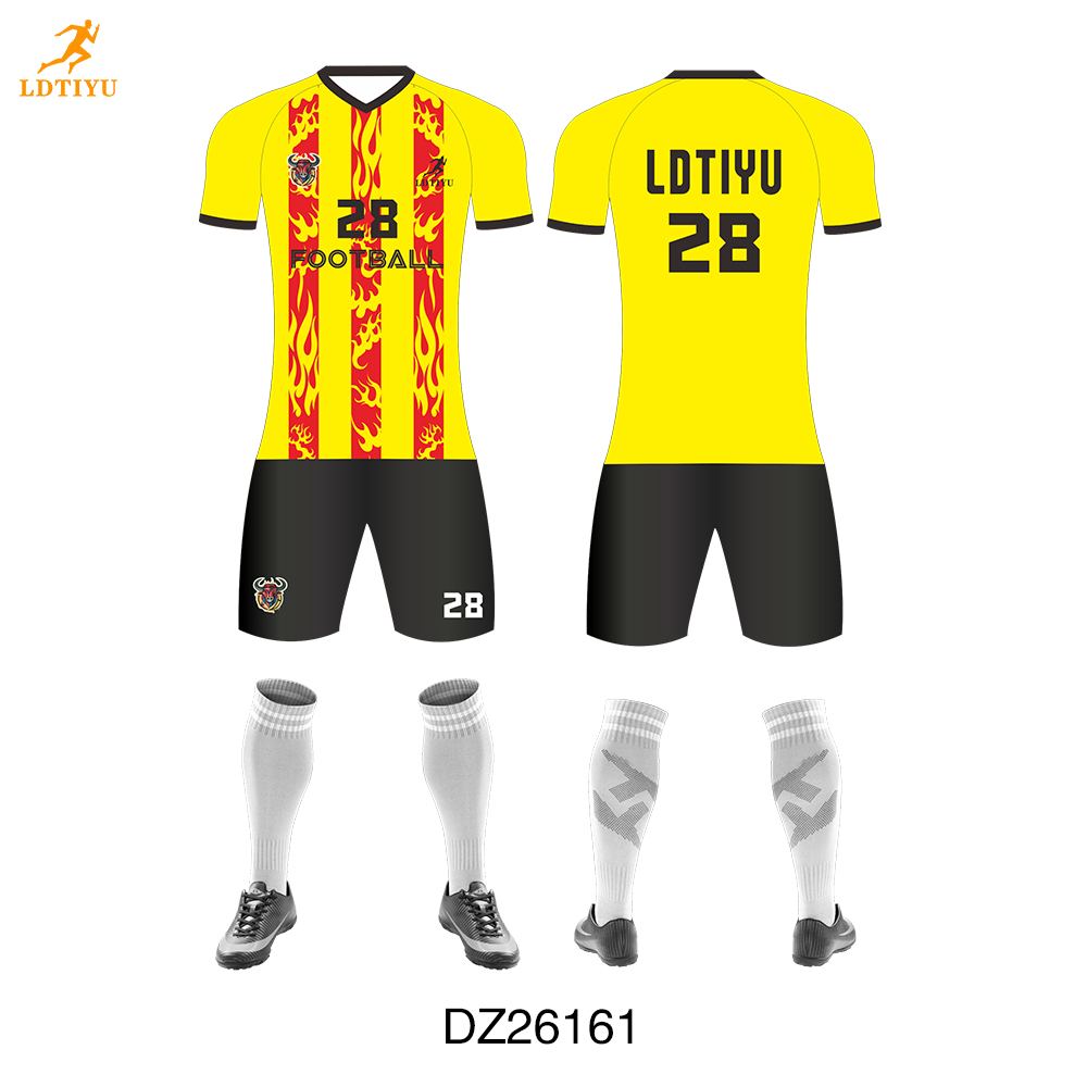 DZ26161
