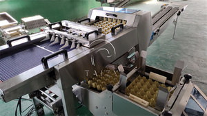 Egg Tray Loading <strong>Machine</strong> <strong>Automated</strong> Chicken Egg Pack <strong>Machine</strong> Egg <strong>Sorting</strong> and Pack <strong>Machine</strong> - Product Image 2