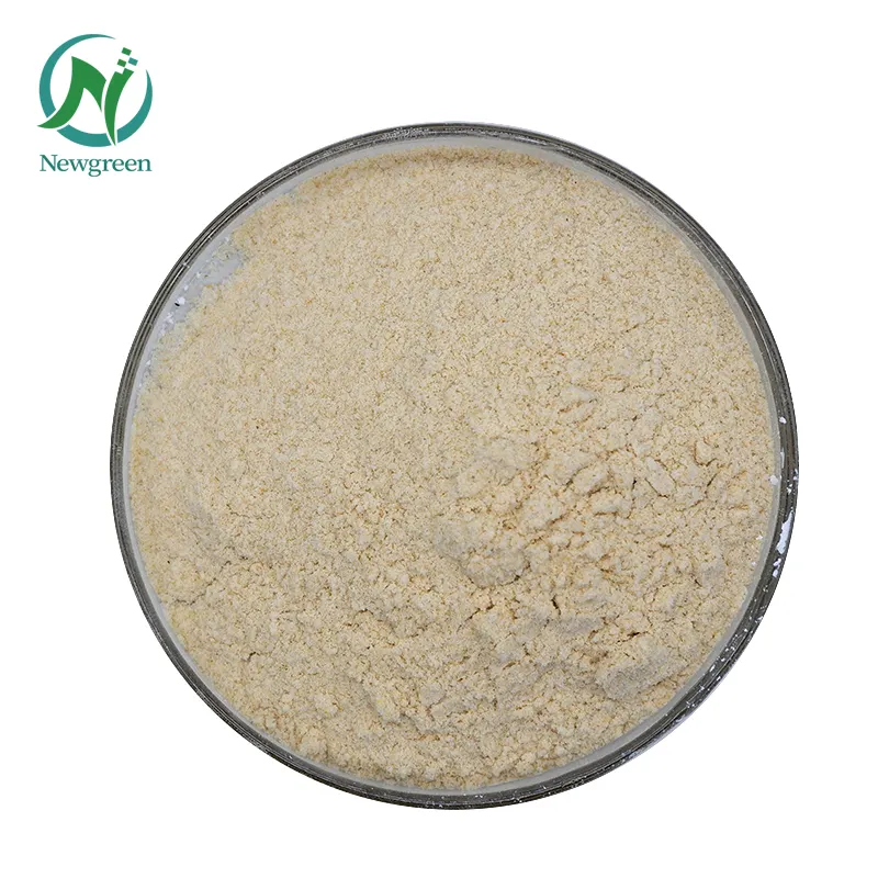 Nieuwgroene Levering Hot Sale Psyllium Husk Poeder Psyllium Husk Extract