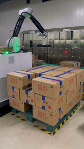 Boevan Collaborative <strong>Robot</strong> Palletizer Arm Pick and Place <strong>Palletizing</strong> <strong>System</strong> for Cobot Palletizer Price - Product Image 6