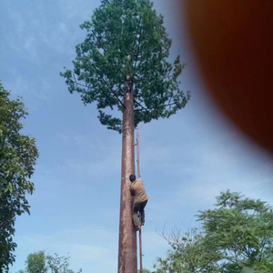 40m monopole ăng ten tháp cây nhân tạo ăng ten tháp GSM cây cọ che giấu - Product Image 1