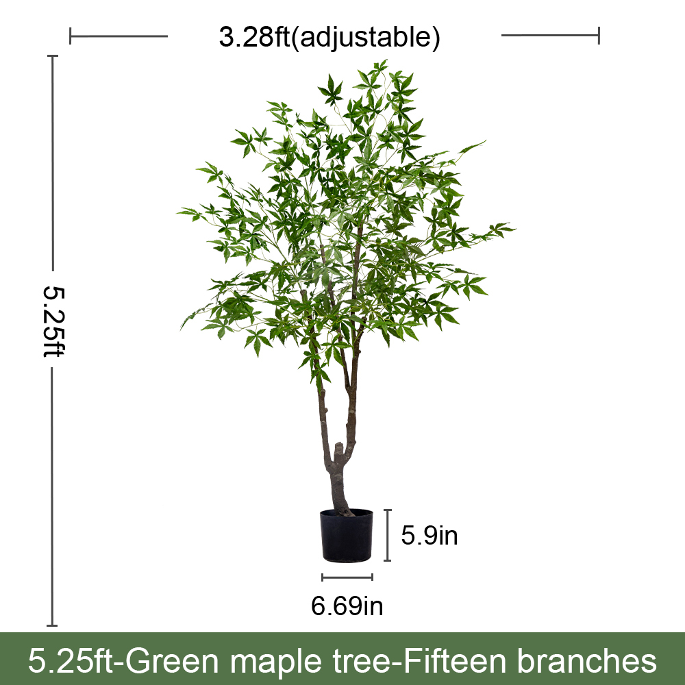 5.3FT/160CM