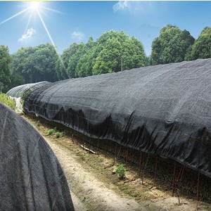 Hersteller <span class=keywords><strong>hdpe</strong></span> grüne und schwarze farbe kunststoff garten landwirtschaft gewächshaus sonnenblende netz