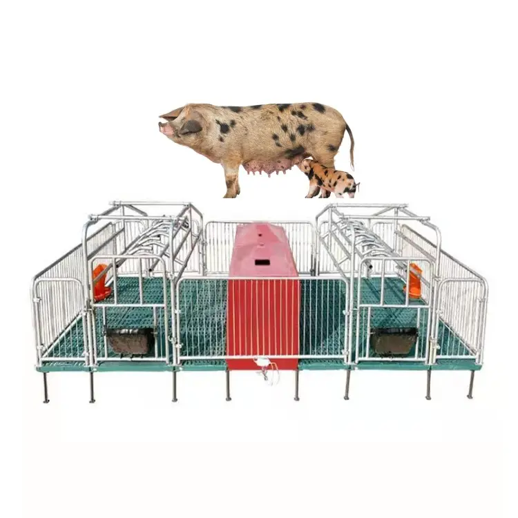 Cama de agricultura de porco, cama de agropecuária galvanizada com preços para fazenda porcos