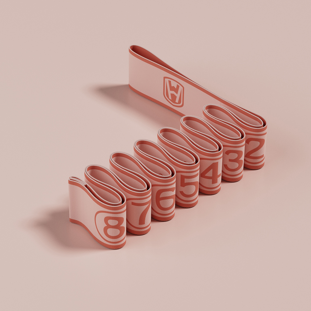 Rosa-8 Loops