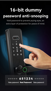Glomarket Tuya Wifi akıllı kilit alüminyum ahşap kapı yüz tanıma Palmprint biyometrik parmak izi dijital akıllı kilit - Product Image 3