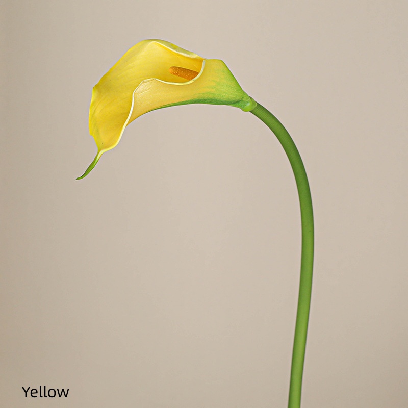 Jaune
