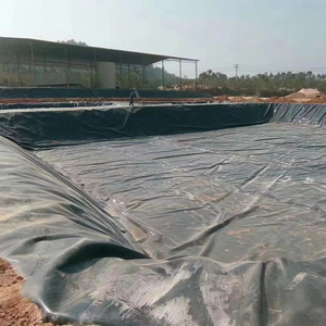 HDPE geomembran Geo Liner 500/8000/1000 mikron üreticisi anti-sızıntı geçirimsiz HDPE geomembran - Product Image 4