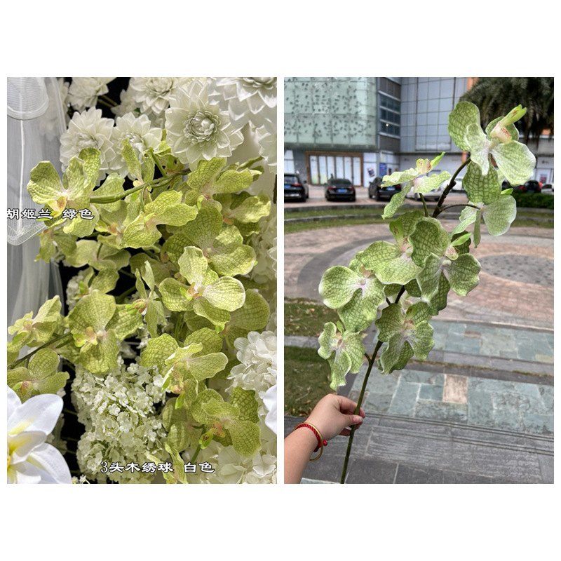 verde hujilan