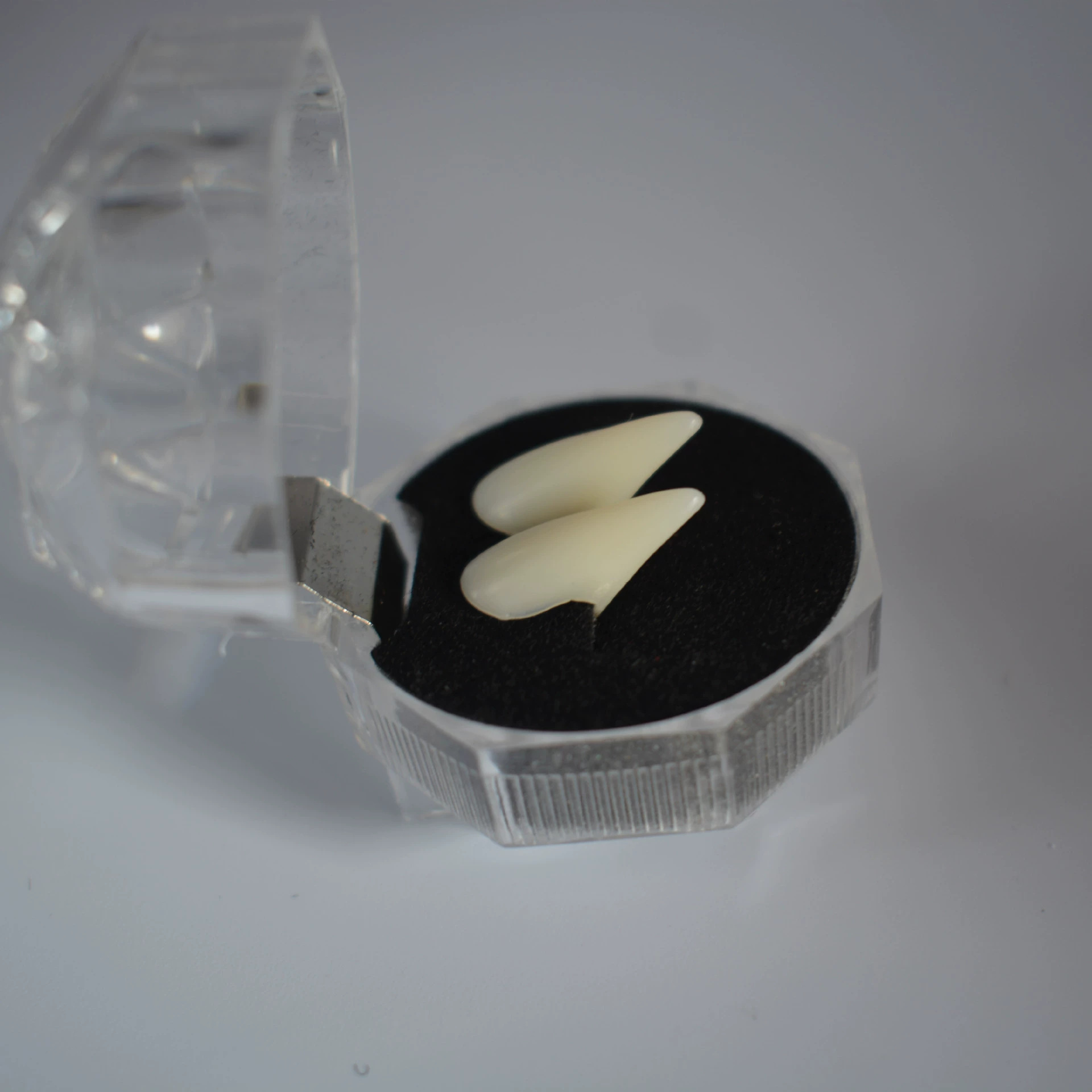 En boîte 1,3 cm