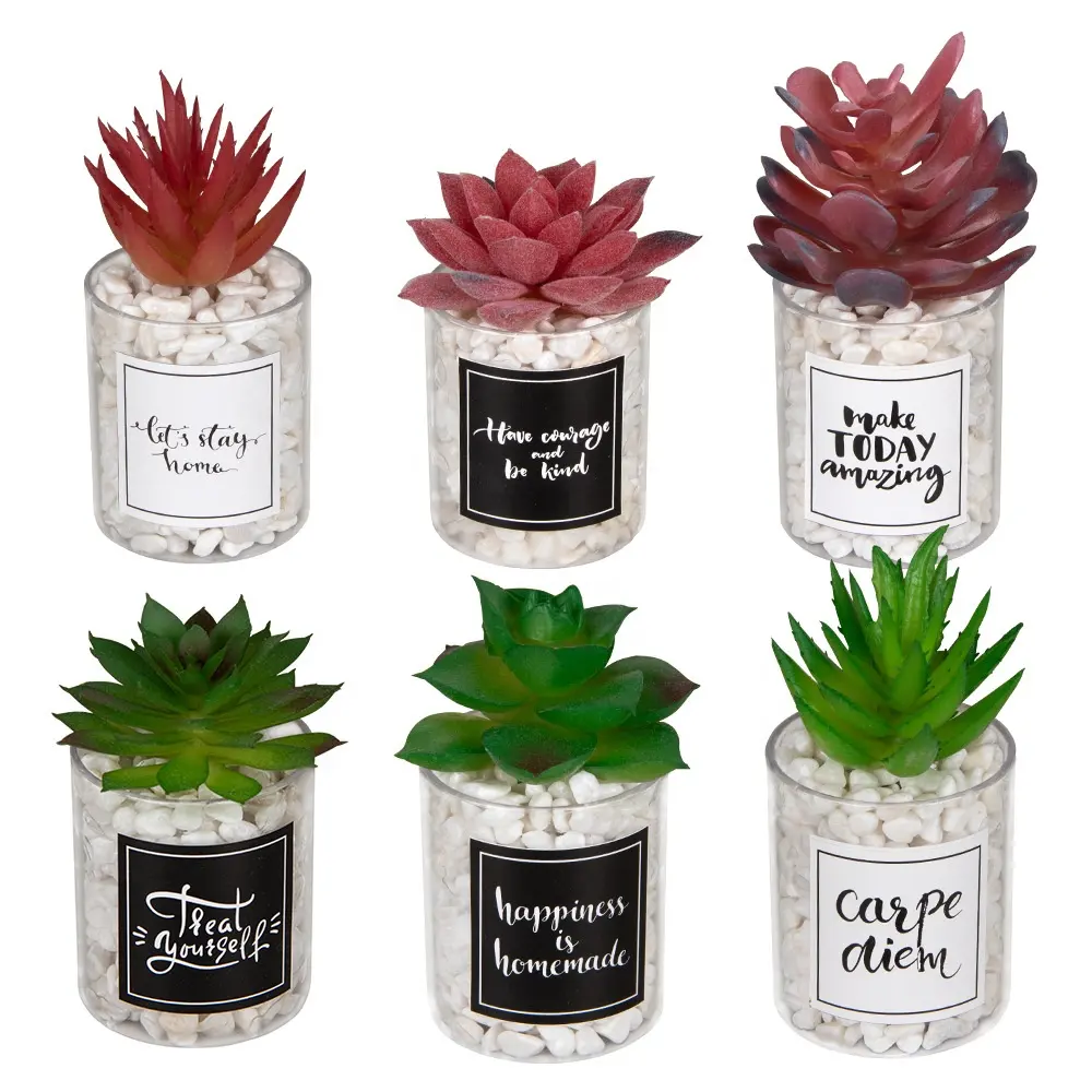 Plástico transparente falso bonsai pequeno, mini cacto falso em vasos, suculentas artificiais planta em potes