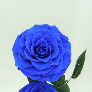 Rose Head A-Grade 7-8 Cm 3 Pcs Hoa Hồng Thủy Tinh Dome Bảo Quản Hoa DIY Chất Liệu Tanabata Valentine Của Ngày Quà Tặng - Product Image 6