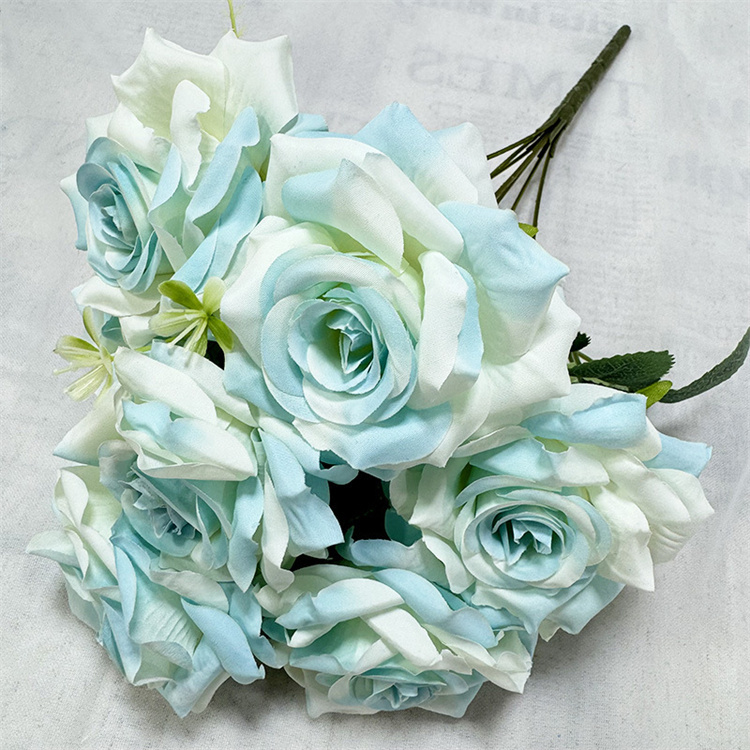 Bleu clair