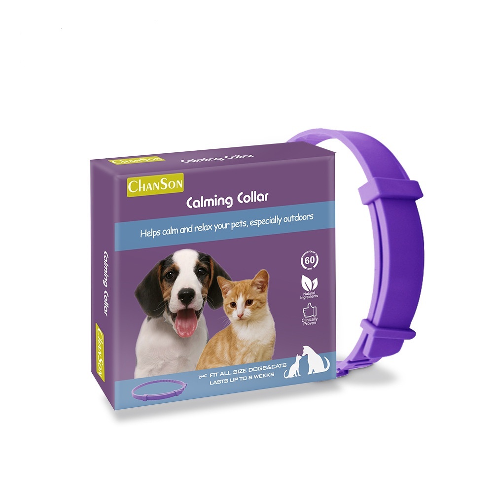 Violet, boîte de couleur, 38 cm, Calming Cats