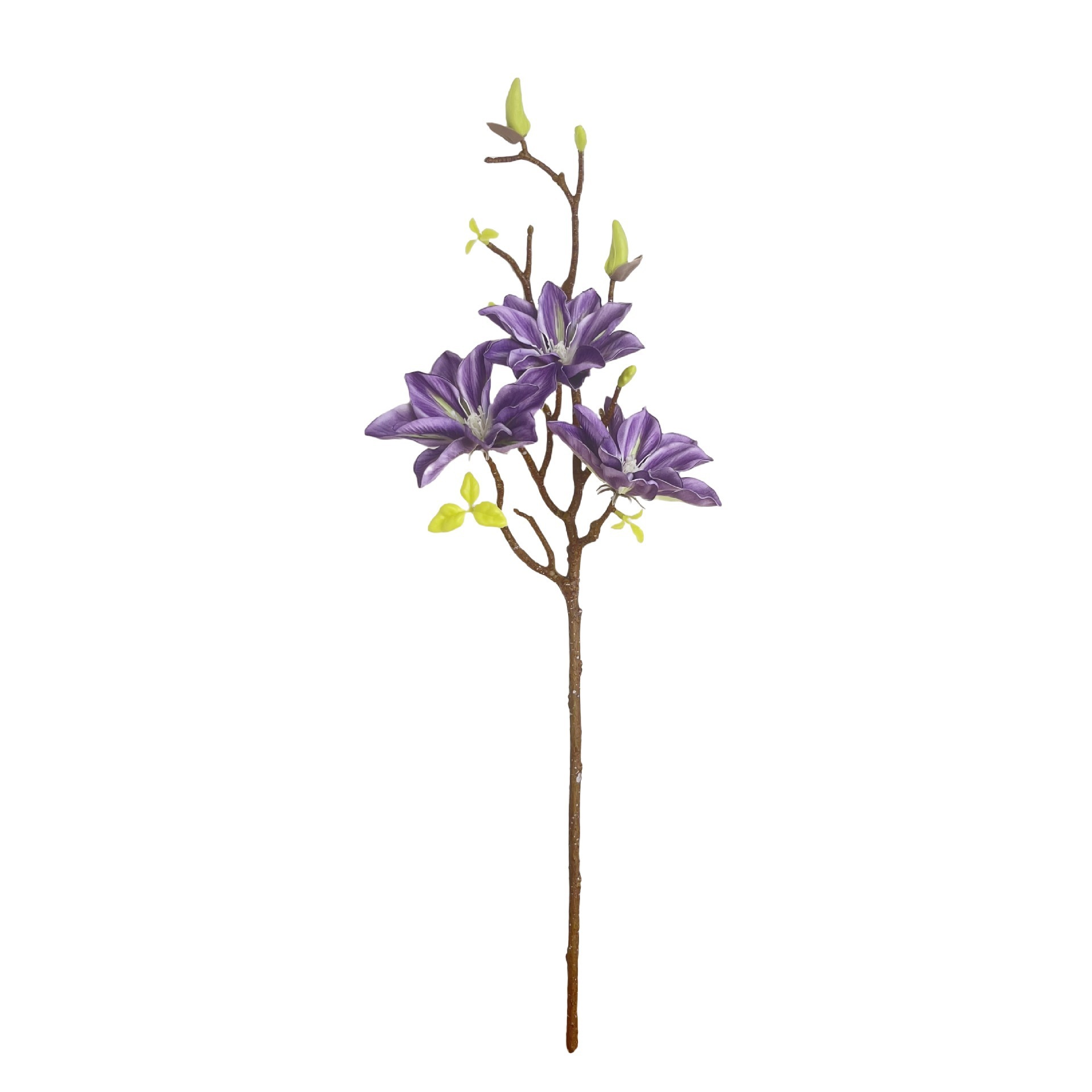 light purple