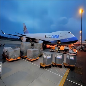 Shipping Agent Freight Forwarder to <strong>Iraq</strong> Air Shipping-agent-in-china Ddp Service - Product Image 6