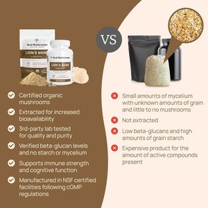 Kapsul Ekstrak Jamur Surai Singa Solilan (120 Kapsul) Suplemen Herbal untuk Kognisi, Fokus, Memori, dan Tidur Orang Dewasa - Product Image 5