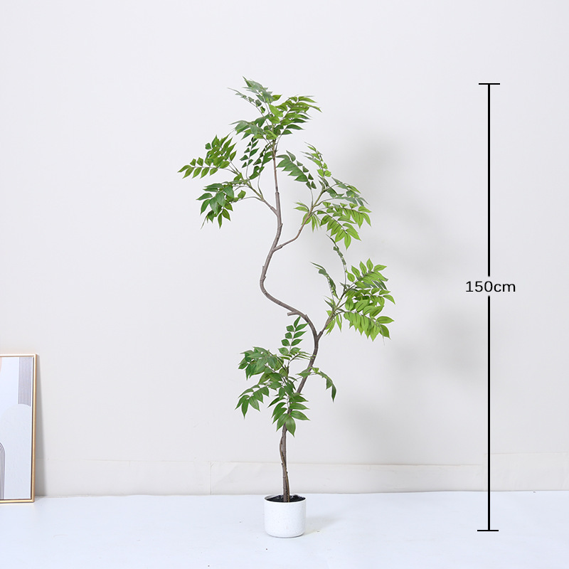 Bois laqué de forme irrégulière - 150 cm