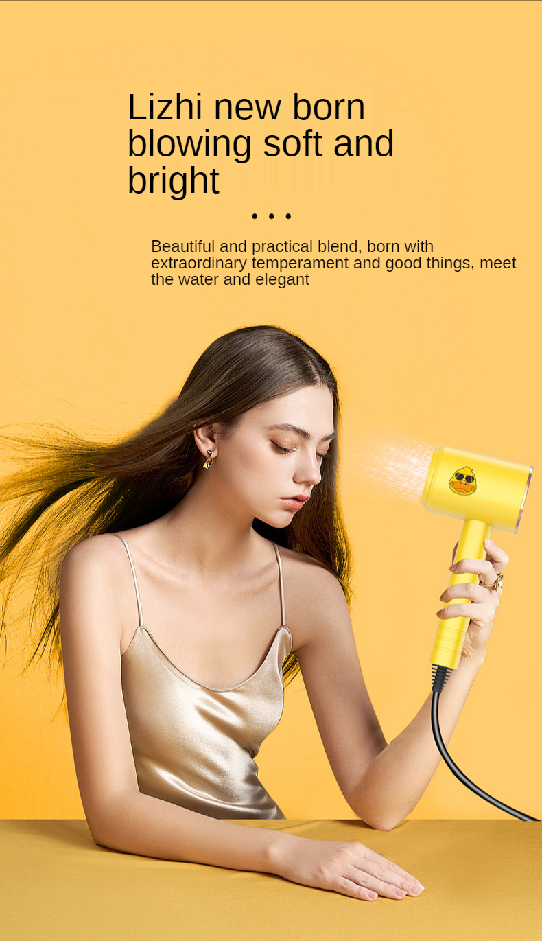 Hot Selling 800W Salon Professional DC Motor Concentrator/Ionic and Induction Function Professional blow Hair dryer